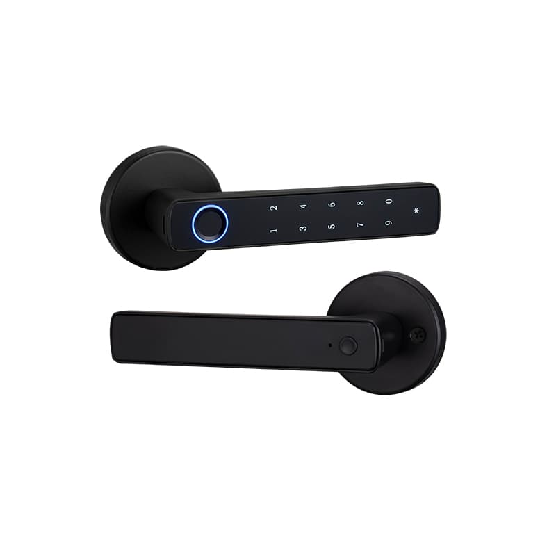 Compact Keypad Fingerprint Lock